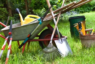 Tools You Will Need For Gardening