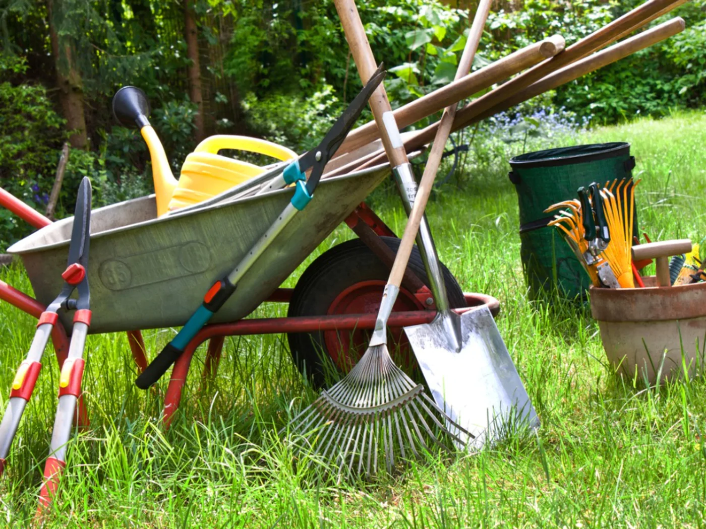 Tools You Will Need For Gardening